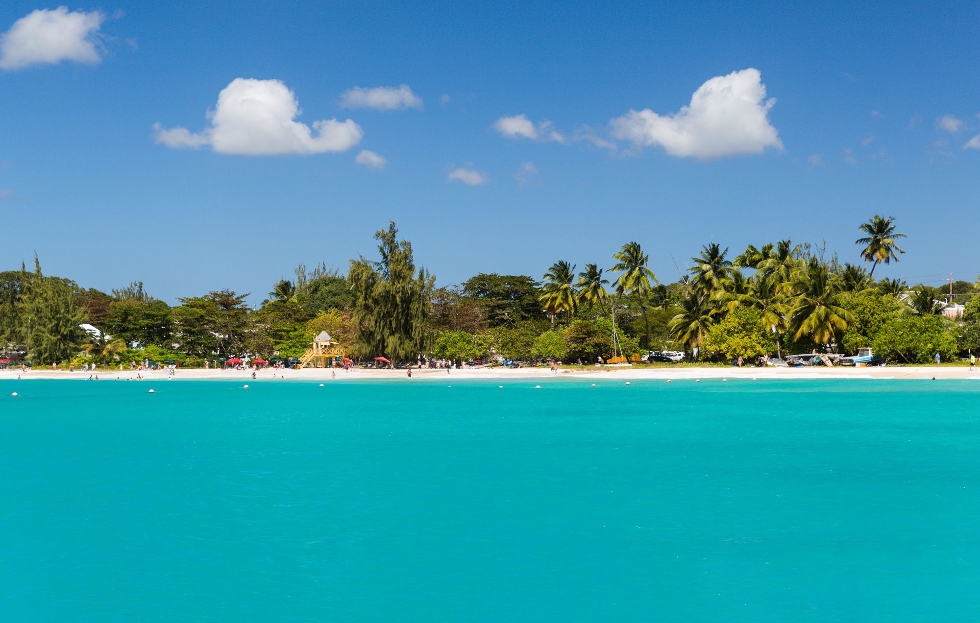 Spend The Day At Carlisle Bay, Barbados!