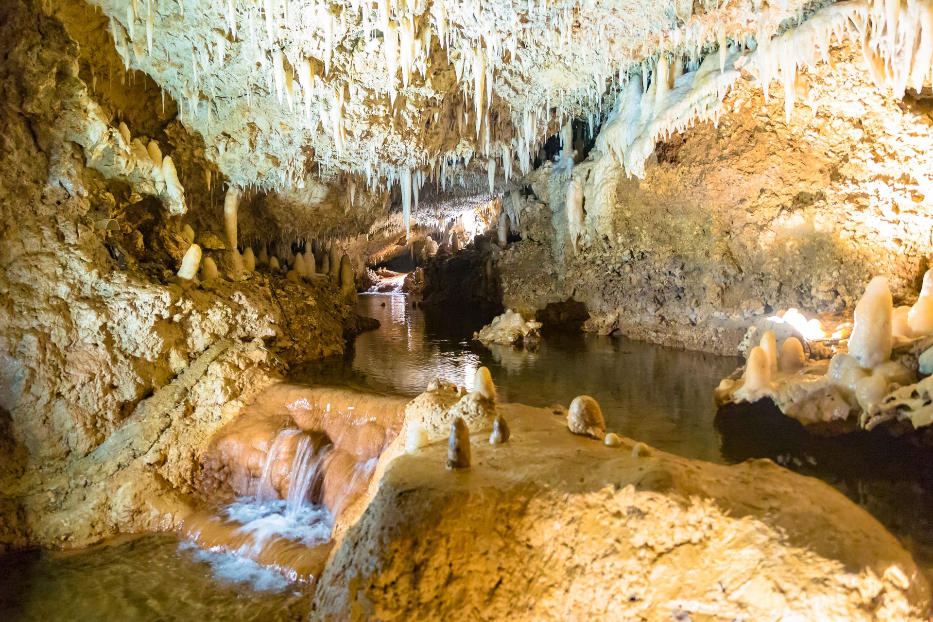 Harrison’s Cave Barbados: A Magical Underground Adventure