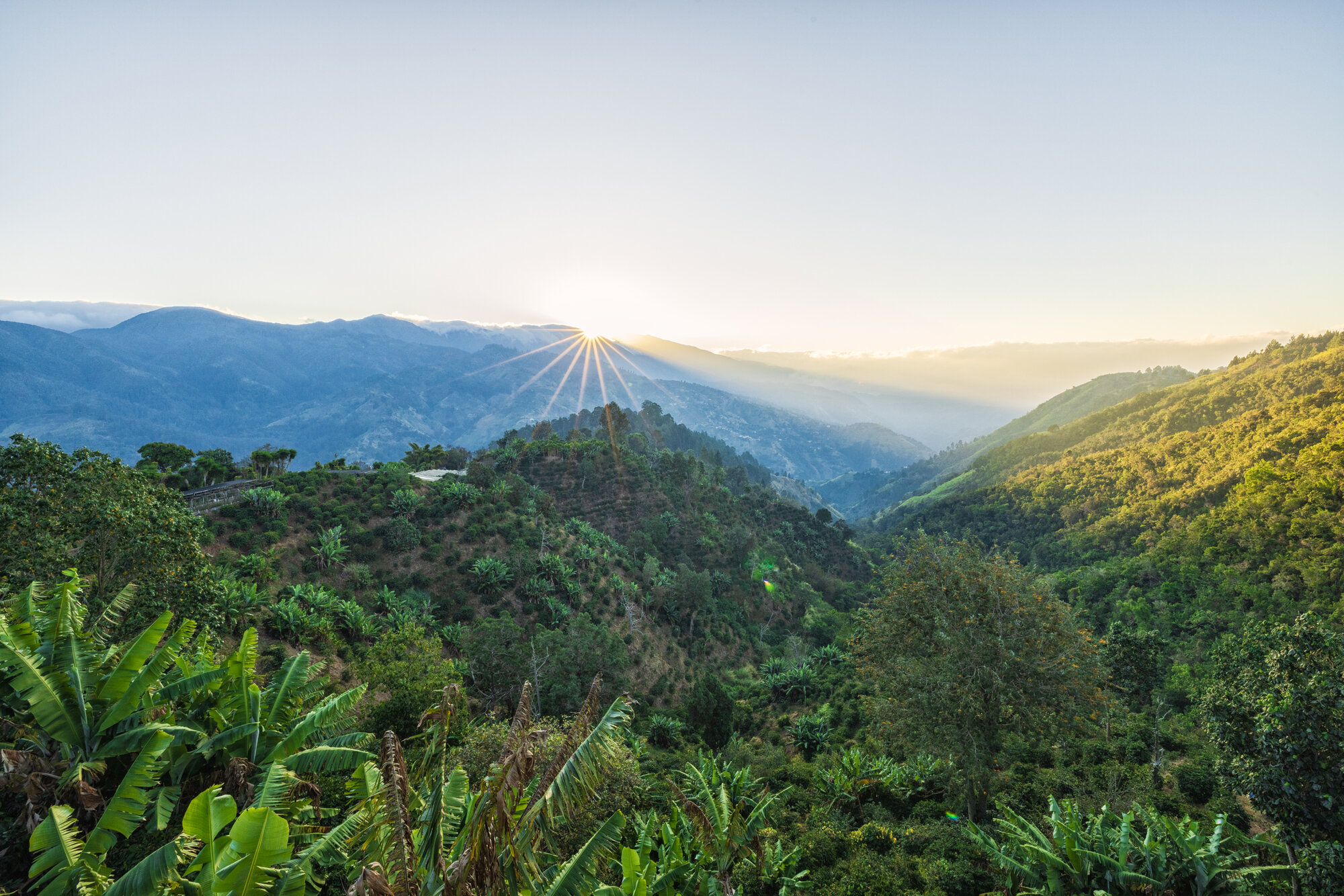 The Travellers' Guide to Essential Jamaican Sayings & Phrases