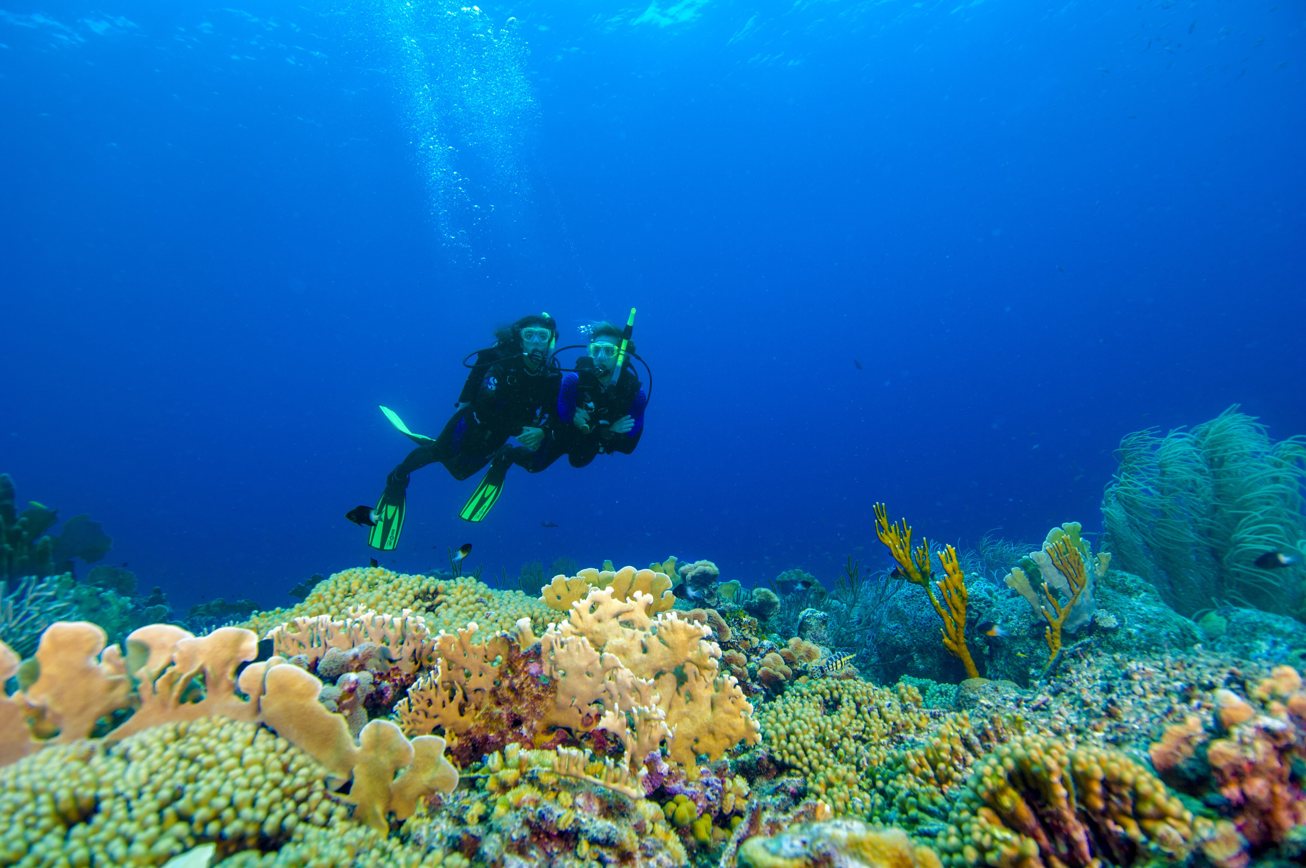 Become A PADI® Certified Scuba Diver At Sandals Resorts