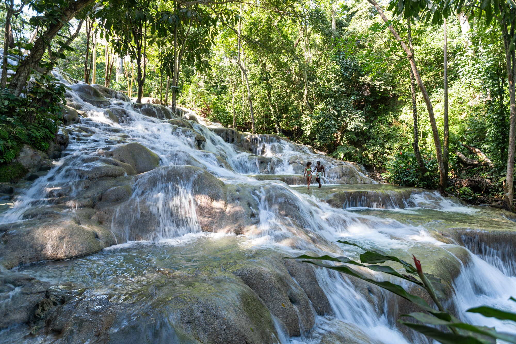 Dunn's River Falls, Jamaica: The Complete Guide | Sandals