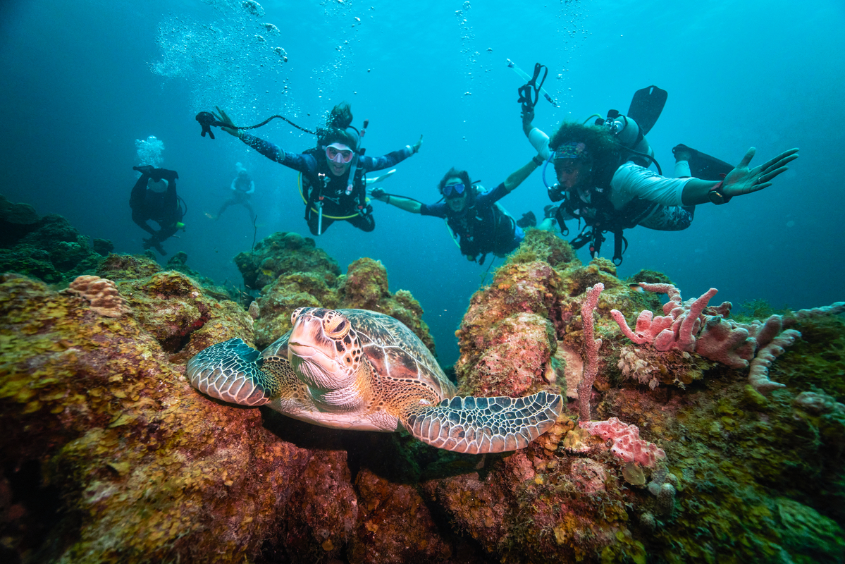 PADI-SANDALS-CURACAO-2022-DAY-002-01600-1200x800-5b2df79