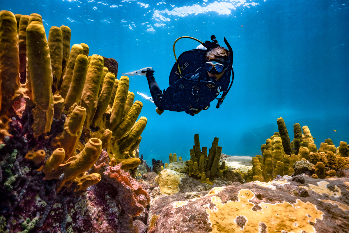 Saint-Lucia---Scuba-Diving---Sandals-Resorts79-1200x800-5b2df79