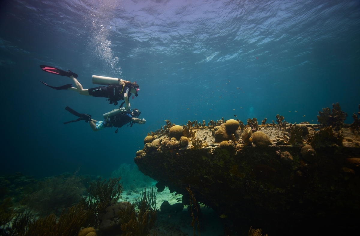 The 28 Best Scuba Diving Sites In The Caribbean