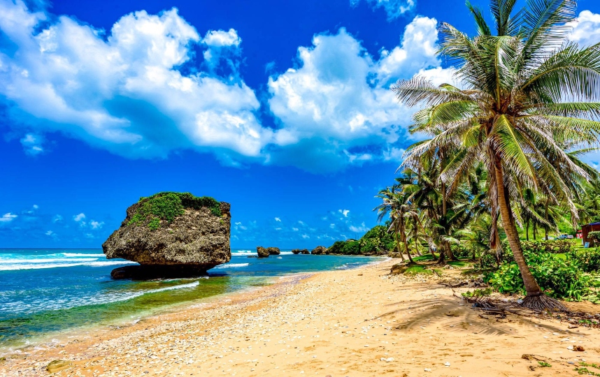 Barbados Weather: What to Expect Year-Round