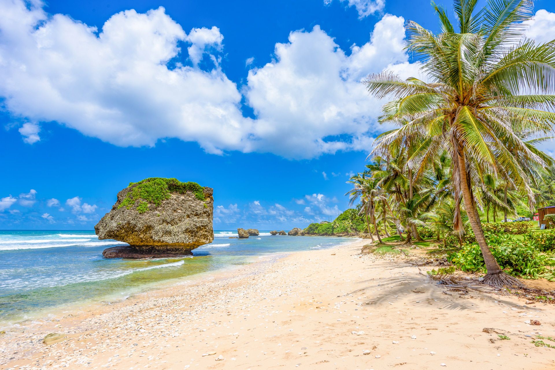 things-to-do-in-barbados-Bathsheba-Beach